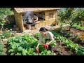 Peaceful Mountain Farm Life A Young Girl Gardening Harvesting Fresh Crops Traditional Cooking