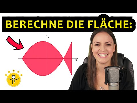 Wie groß ist die Fläche? – Integral Flächenberechnung