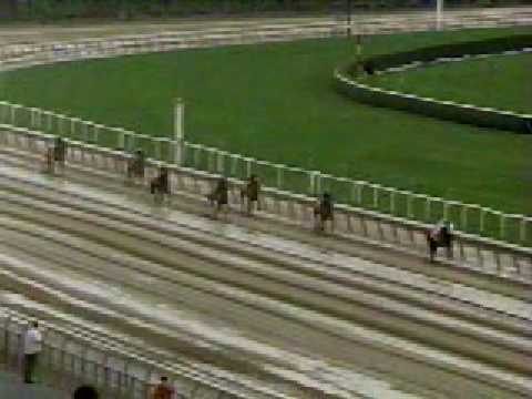 1998 Beldame Stakes