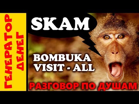 Скам bombuka и visit-all. Разговор по душам.