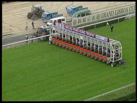 2017-05-20 Macau Meeting Race 5(0265) - SJM MACAU DERBY (TRIPLE CROWN - 2nd Leg) (GROUP 1)