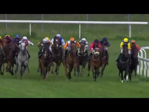 Bro Park (SWE) 19.06.17 - STOCKHOLMS STORA PRIS (GR 3)