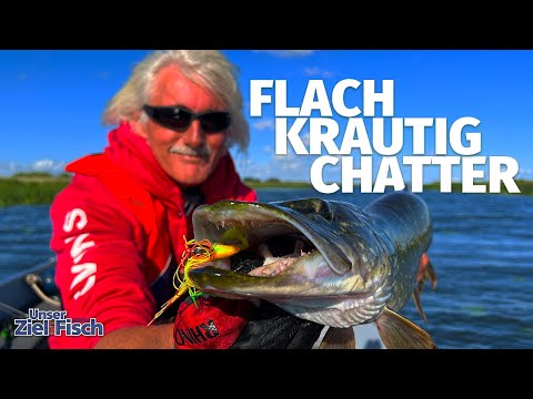 RICHTIG ALARM mit KLEINEN CHATTERBAITS - Unser Ziel ist Fisch - Angelschule mit JÖRG OVENS