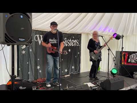 ‘Angry Bees’ - The Hedge Inspectors - Undercover Festival 26/9/25