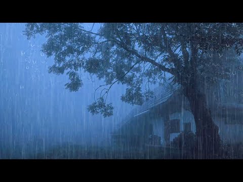 Rumore della Pioggia per Dormire Profondamente - Forte Pioggia e Tuoni sul Tetto Nella Foresta #12