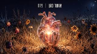 פרח