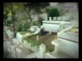 Emir ile Feriha - Sen Yarim idun.by Balamin ...