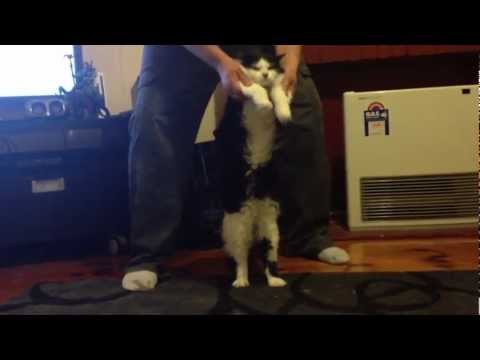 Padma disapproves of dancing