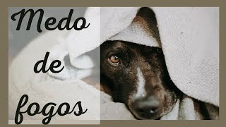 Msica para ACALMAR animais que tm medo de FOGOS DE ARTIFCIO