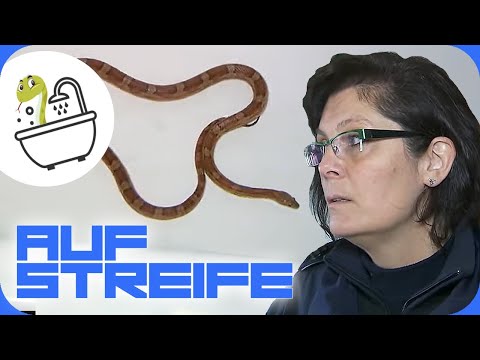 Snake in the bathtub 🐍 Unbelievable how the animal got into the apartment! 😨 | On Patrol | SAT.1