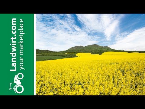 SAATBAU ACKERdemie - Mit Raps auf Erfolgskurs | landwirt.com