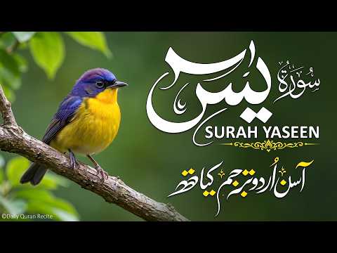 Surah Yaseen Full with Urdu Translation | Heart Touching Recitation by Qari Mansoor Ghaznavi