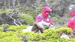 ISLA LOS ESTADOS, EXPEDICIÓN. Primer cruce total a pié. VIDEO FINALISTA BANFF ARGENTINA