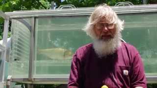 Spreading Menace Mississippi River Asian carp_6.24.15