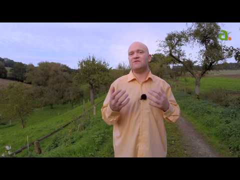 apunda - kurz & kompakt | Teil 7 Schüssler-Salz: Nr. 5 "Kalium Phosphoricum"