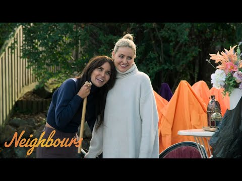 Ramsay Street Wedding Clean-Up | Flashback Week | Neighbours