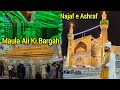 Hazrat Ali Ki Bargah Kaisi Hai Dekhye Najaf E Ashraf Ki Tamaam Ziyarat Karye HafizAamirQadri