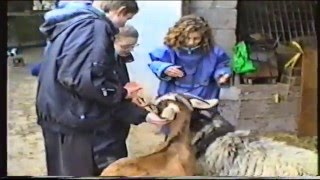 SFM: 8IT: Longrigg Trip: Part 2