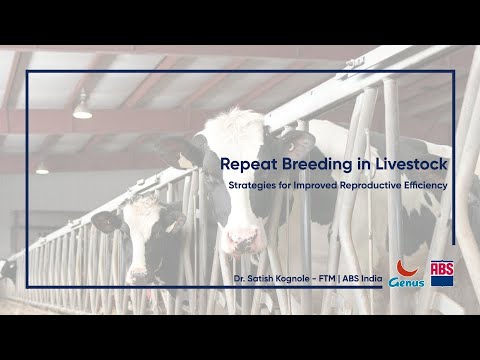 Repeat Breeding in Dairy Cattle | Causes, Diagnosis & Solutions