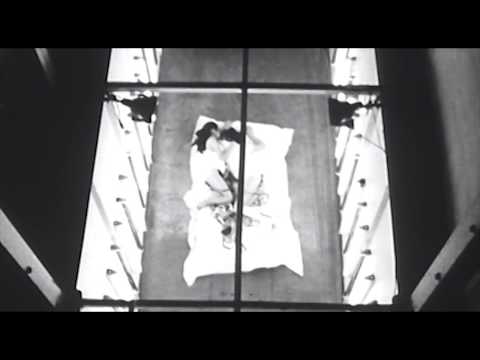 Ensemble Economique - Radiate Through ME