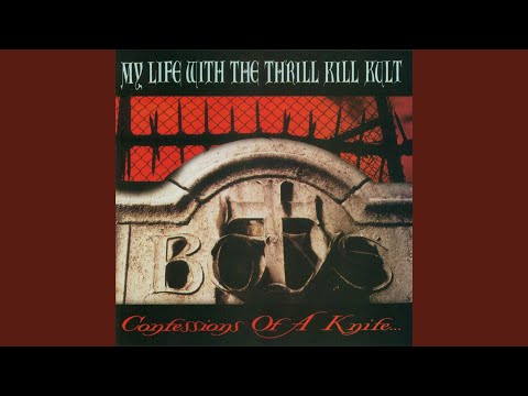 The Days Of Swine And Roses