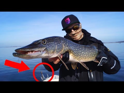 The shallow rig – the best method for big pike?