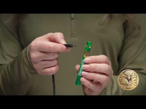 ASP Snapshot - Raven Light