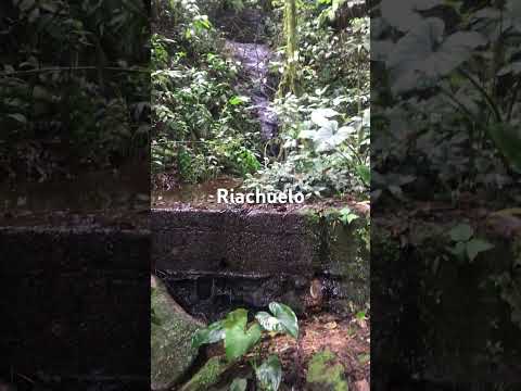 Riachuelo#camino #riachuelo #antioquia #colombia