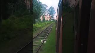 Download lagu මීදුමින් වෑසීගිය ඉදල්ගස්හින්න 💚🥶🥶🚂 travel #nature mp3 Download lagu මීදුමින් වෑසීගිය ඉදල්ගස්හින්න 💚🥶🥶🚂 travel #nature mp3