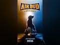 Bud O Cão Amigo Bud Disney Air Bud