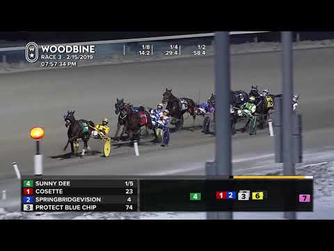 Woodbine, Mohawk Park, February 15, 2019 Race 3