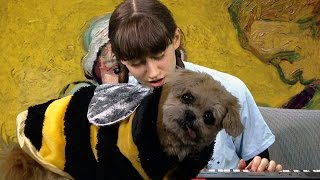 Frankie Cosmos - Your Name ft. Marnie the Dog (Live on The BJ Rubin Show)