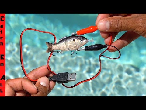 ELECTRIC FISHING LURE uses CHARGED ELECTRICITY to CATCH FISH!