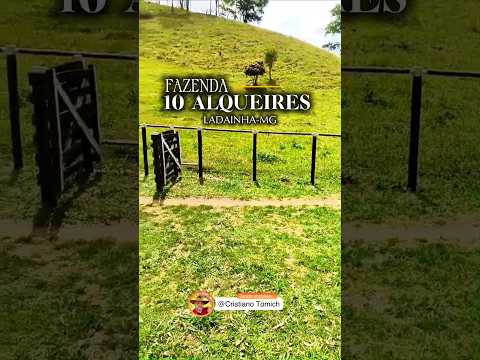 FAZENDA 10 ALQUEIRES LADAINHA-MG R$ 1 MILHÃO #fazenda #mercadoagricola #gado #minasgerais #agro