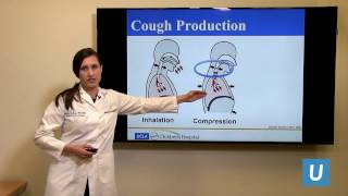 Evaluation of Chronic Cough in Children | Mindy Ross, MD, MBA, MAS | UCLAMDChat