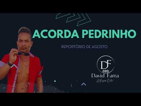 ACORDA PEDRINHO (FEAT DAVID FARRA )
