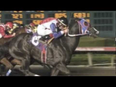 EL FELINO - OSCAR SOLIS