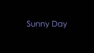 Joy Williams   Sunny Day