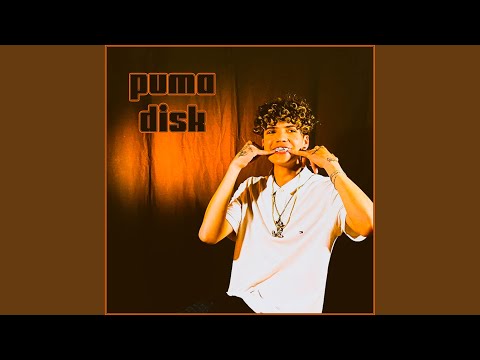 Puma Disk
