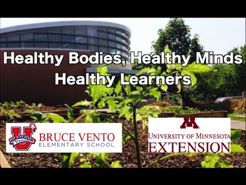 Healthy Bodies, Healthy Minds, Healthy Learners