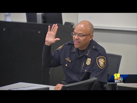 Background report released on Joel Fitzgerald