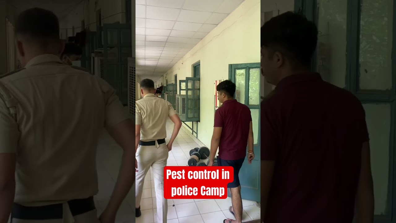 Pest control in Police Camp apex pest control #apexpestcontrol