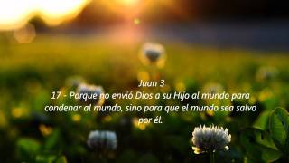 Newsboys - Saviour Of The World(2011) [Audio + Lyrics]