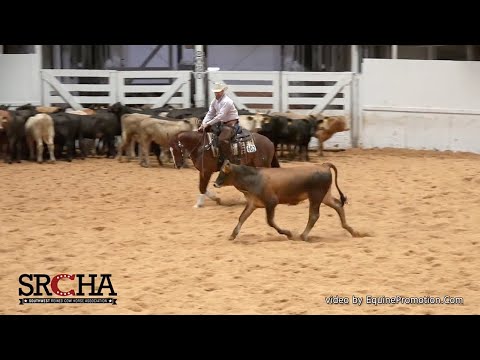 Clinton Anderson and Hulk: 2020 SRCHA Pre-Futurity Herd Work