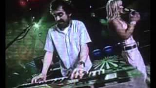 Tulipan  Amaia Montero