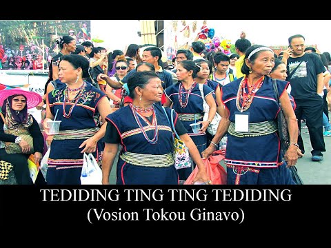 VOSION TOKOU GINAVO (Tediding Ting Ting Tediding)