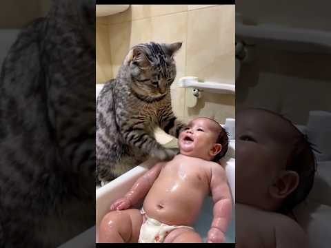 Wholesome Facts That Will Brighten Your Day #facts #happy #shorts