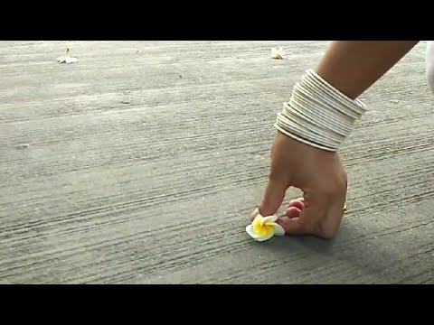 An evening with flowers/guncha koi tere naam kar dia/indian silent vlog/aesthetic vlog