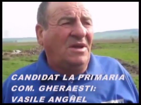 CANDIDAT  CA PRIMAR AL com  GHERAESTI