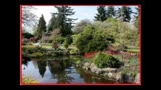 Petite Fleur chanté par Mouloudji